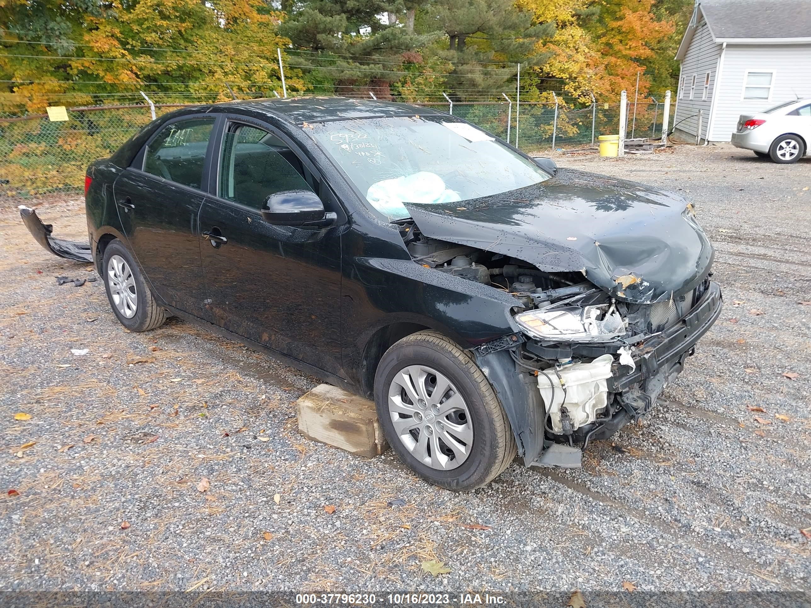 KIA FORTE 2012 knafu4a27c5635615