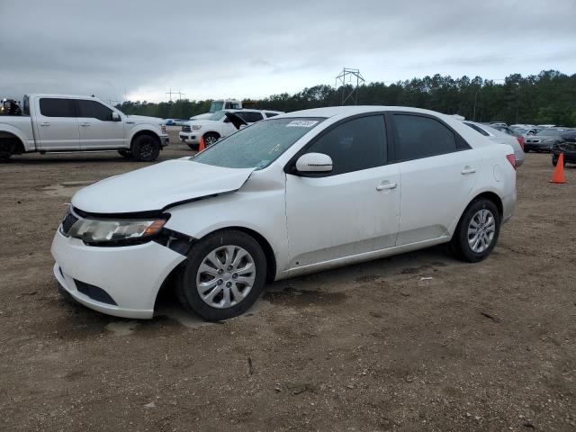 KIA FORTE EX 2012 knafu4a27c5643469