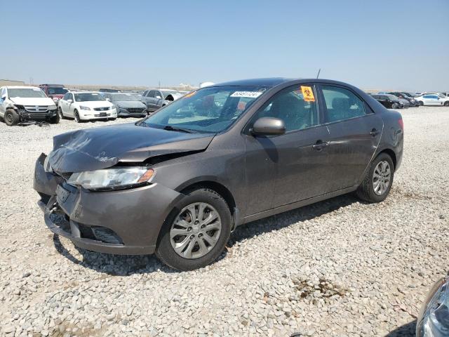 KIA FORTE EX 2013 knafu4a27d5645790