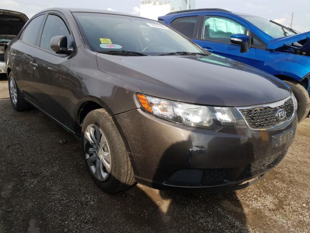 KIA FORTE EX 2013 knafu4a27d5654389