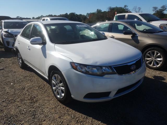 KIA FORTE EX 2013 knafu4a27d5663481