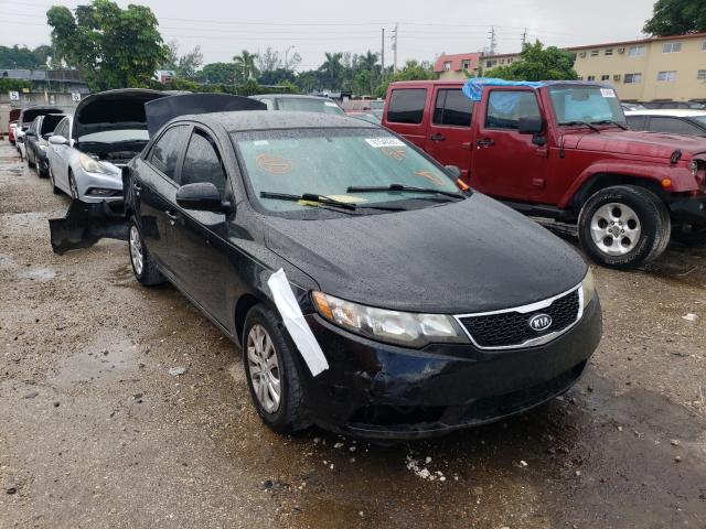 KIA FORTE EX 2013 knafu4a27d5671273