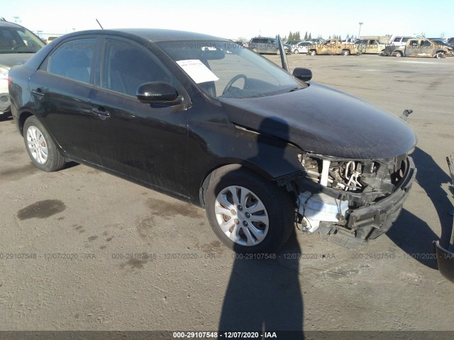 KIA FORTE 2013 knafu4a27d5672018