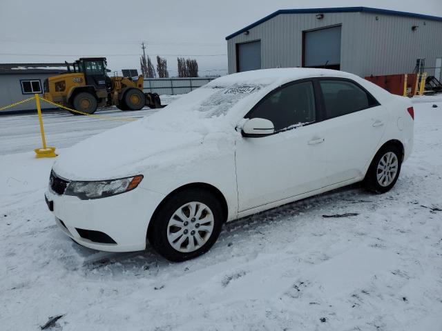 KIA FORTE EX 2013 knafu4a27d5685772