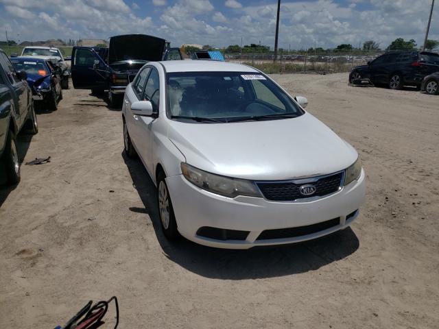 KIA FORTE EX 2013 knafu4a27d5691376