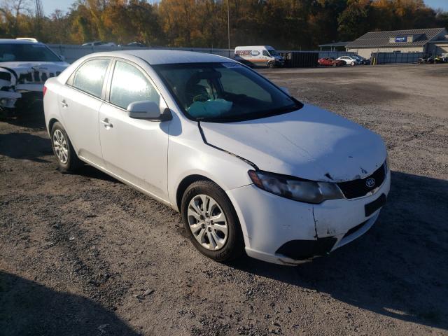 KIA FORTE EX 2013 knafu4a27d5696402