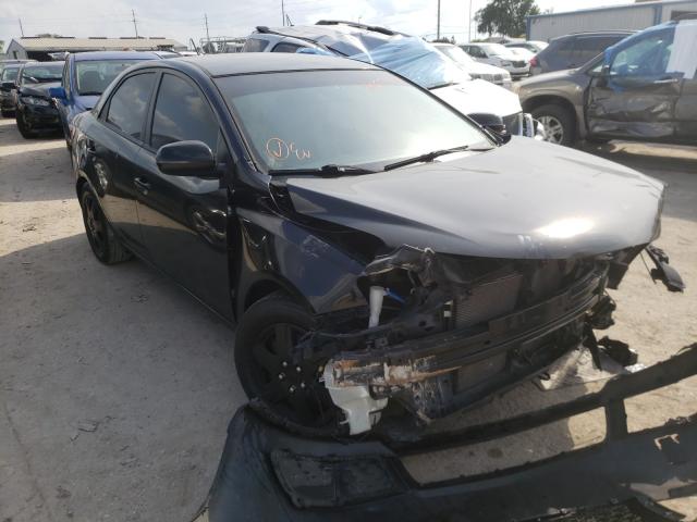 KIA FORTE 2019 knafu4a27d5706510