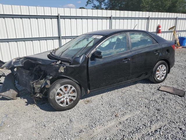 KIA FORTE 2013 knafu4a27d5714803