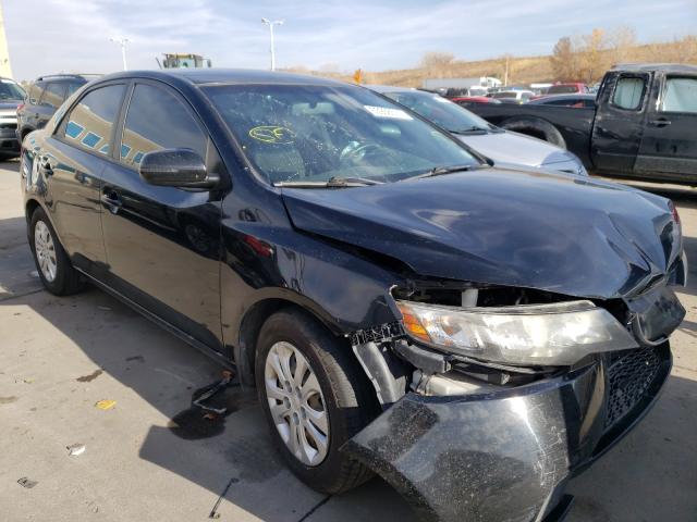 KIA FORTE EX 2013 knafu4a27d5716325