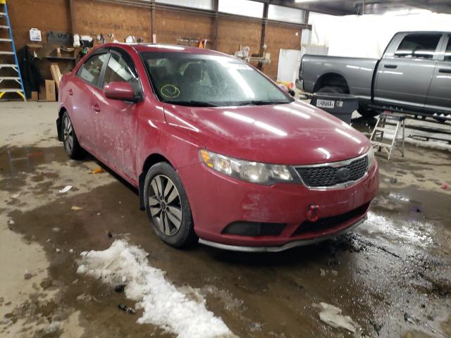 KIA FORTE EX 2013 knafu4a27d5718589