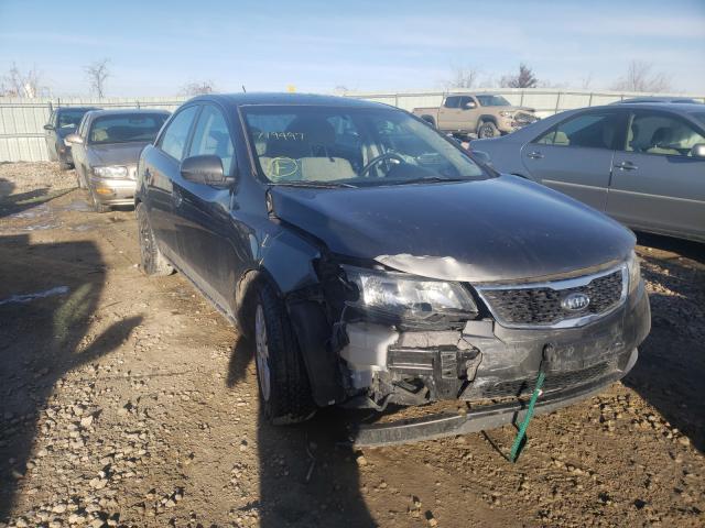 KIA FORTE EX 2013 knafu4a27d5719497