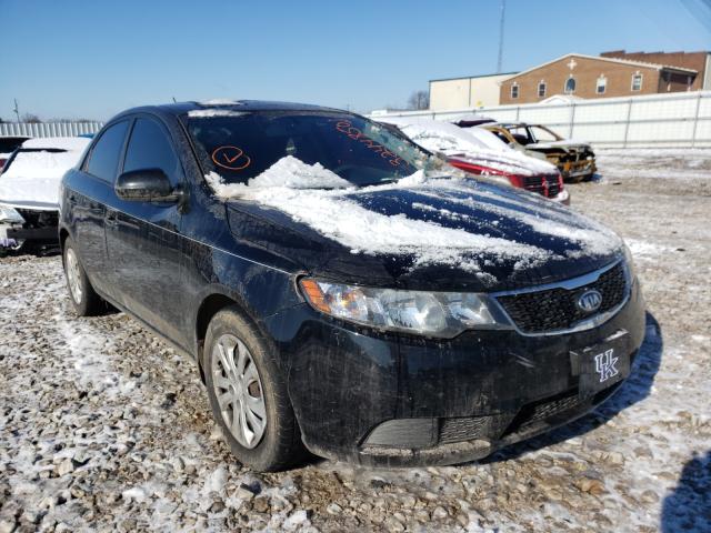 KIA FORTE EX 2013 knafu4a27d5720875