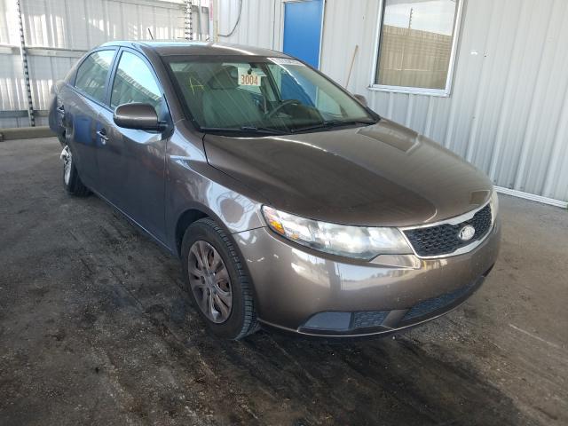 KIA FORTE EX 2013 knafu4a27d5725932