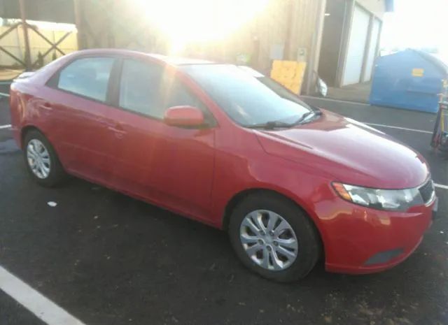 KIA FORTE 2013 knafu4a27d5728488