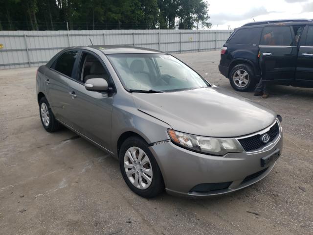 KIA FORTE EX 2010 knafu4a28a5048580