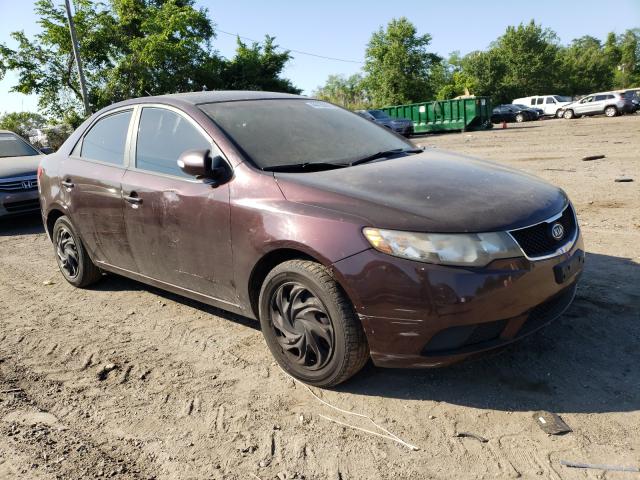 KIA FORTE EX 2010 knafu4a28a5048966