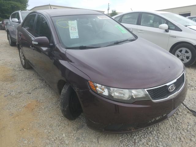 KIA FORTE EX 2010 knafu4a28a5050247