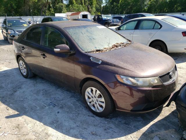 KIA FORTE EX 2010 knafu4a28a5053116