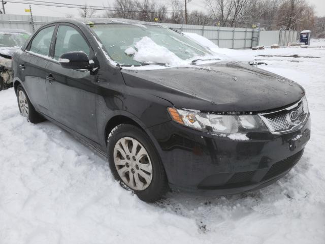 KIA FORTE EX 2010 knafu4a28a5053827