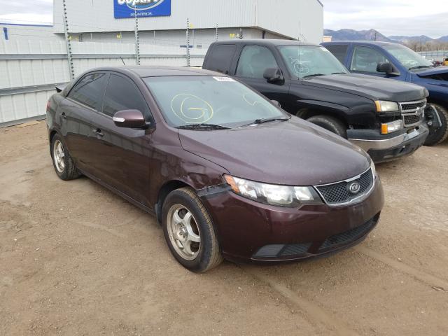 KIA FORTE EX 2010 knafu4a28a5058316