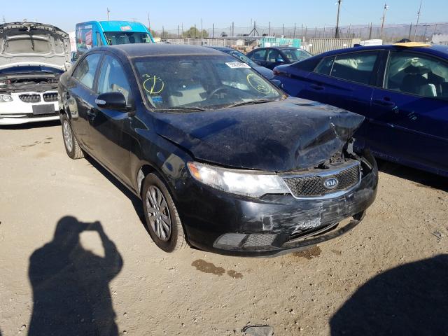 KIA FORTE EX 2010 knafu4a28a5111872