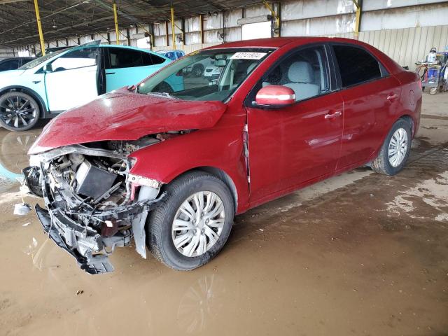 KIA FORTE 2010 knafu4a28a5112679