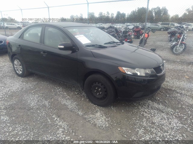 KIA FORTE 2010 knafu4a28a5124346