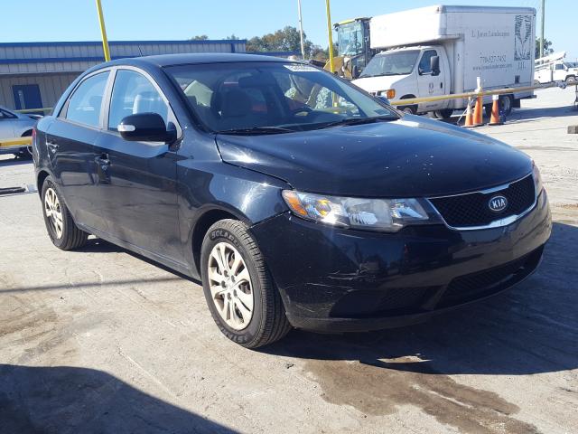 KIA FORTE EX 2010 knafu4a28a5129112