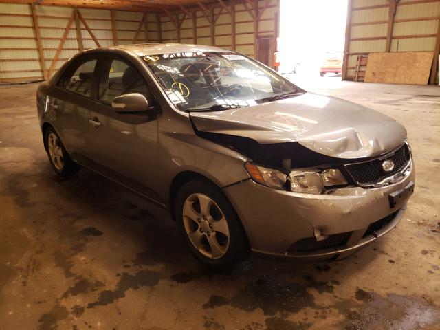 KIA FORTE EX 2010 knafu4a28a5152387