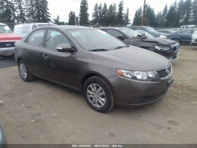 KIA FORTE 2010 knafu4a28a5162028