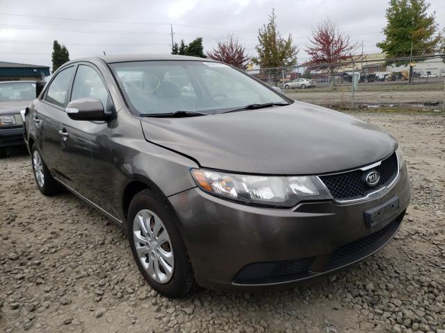 KIA FORTE EX 2010 knafu4a28a5194154