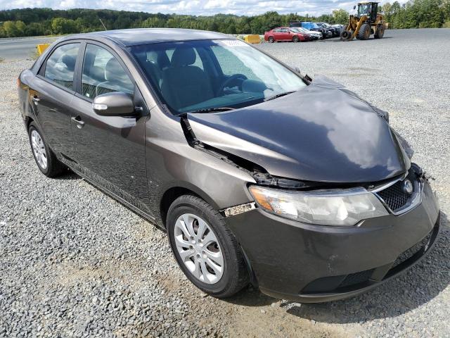 KIA FORTE EX 2010 knafu4a28a5194221