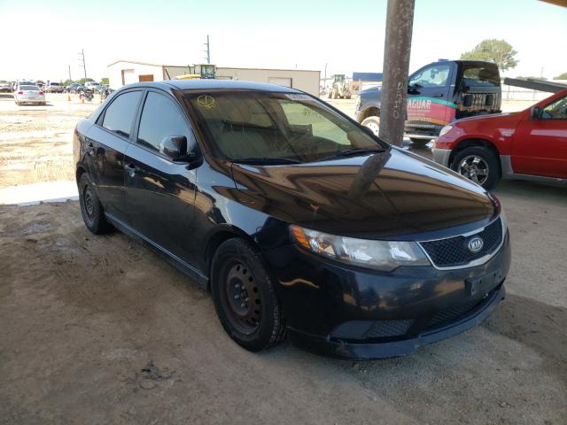 KIA FORTE EX 2010 knafu4a28a5212068