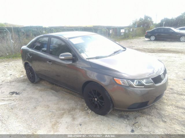 KIA FORTE 2010 knafu4a28a5212233