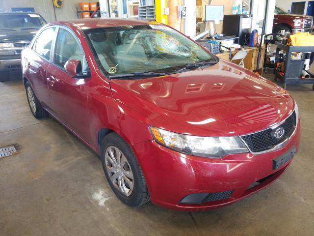 KIA FORTE EX 2010 knafu4a28a5226567