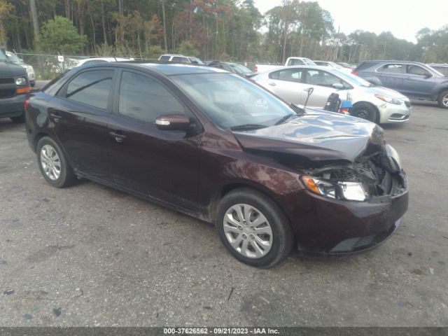 KIA FORTE 2010 knafu4a28a5230151