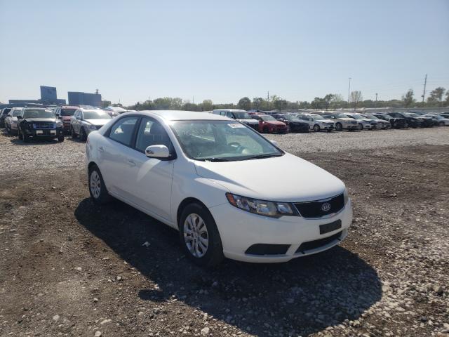 KIA FORTE EX 2010 knafu4a28a5235446