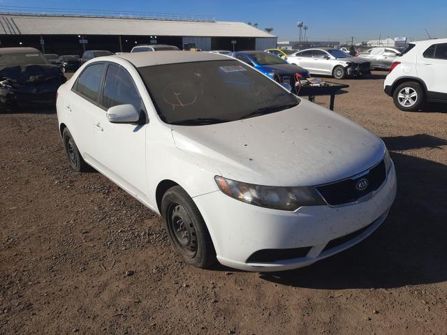 KIA FORTE EX 2010 knafu4a28a5242669