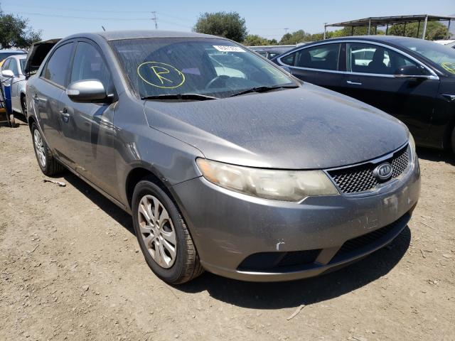 KIA FORTE EX 2010 knafu4a28a5260556