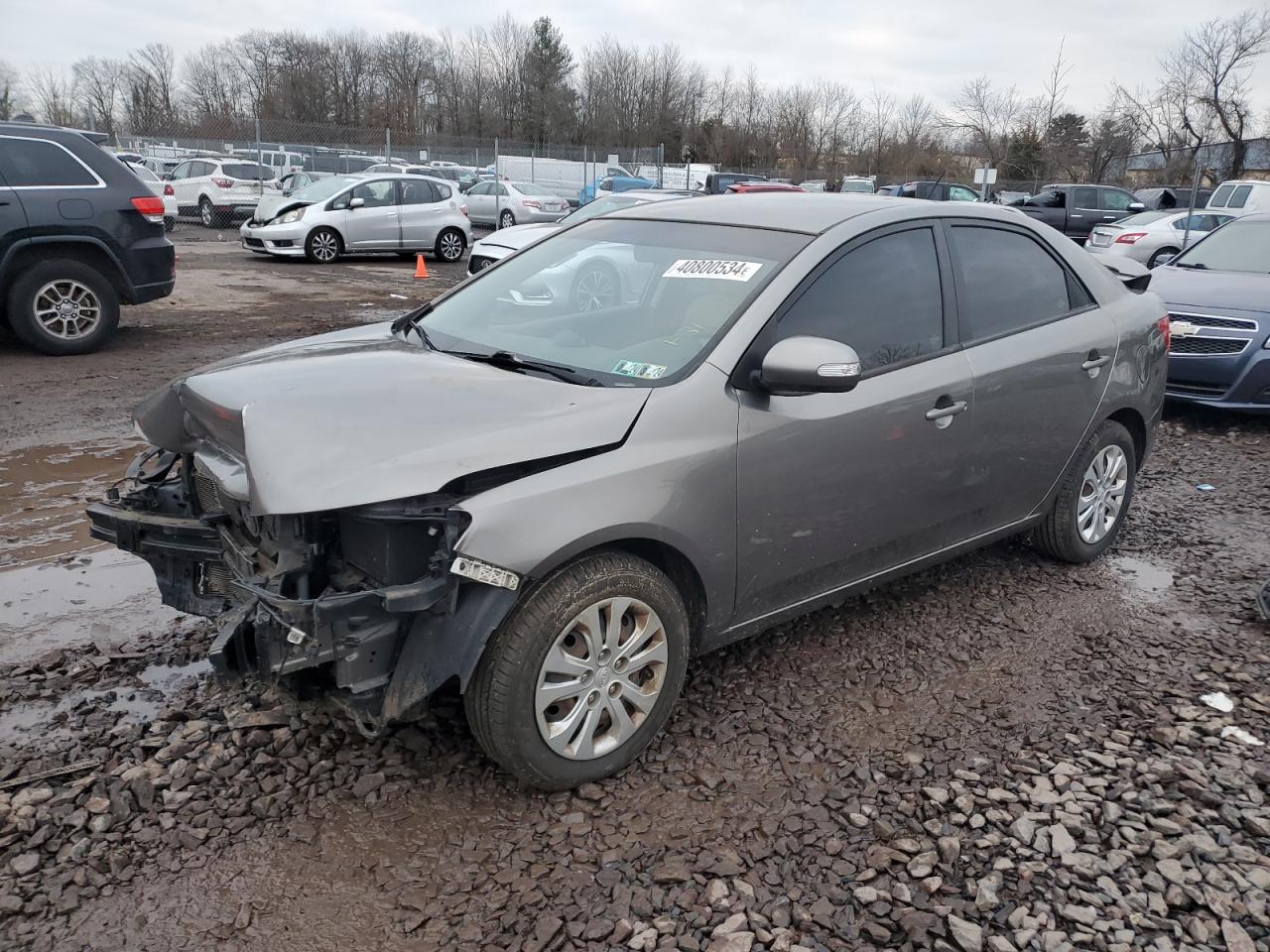 KIA FORTE 2010 knafu4a28a5262016