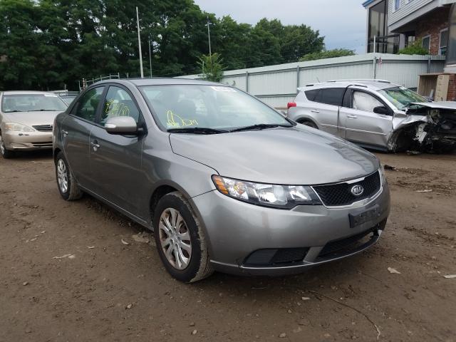 KIA FORTE EX 2010 knafu4a28a5267233