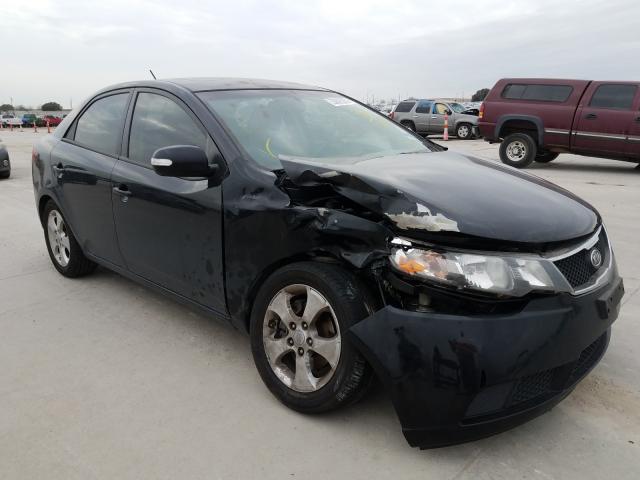 KIA FORTE EX 2010 knafu4a28a5280208