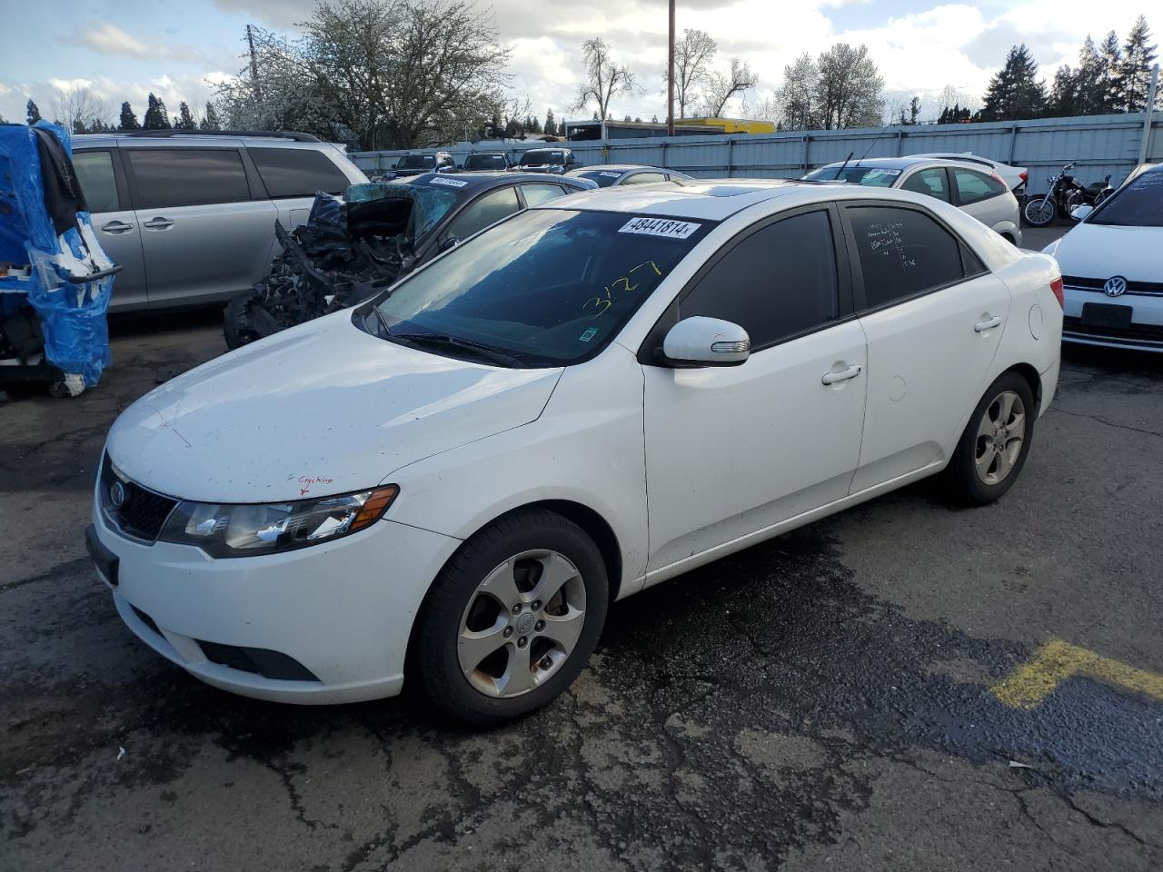 KIA FORTE 2010 knafu4a28a5293816