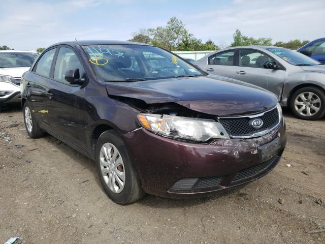 KIA FORTE EX 2010 knafu4a28a5297476