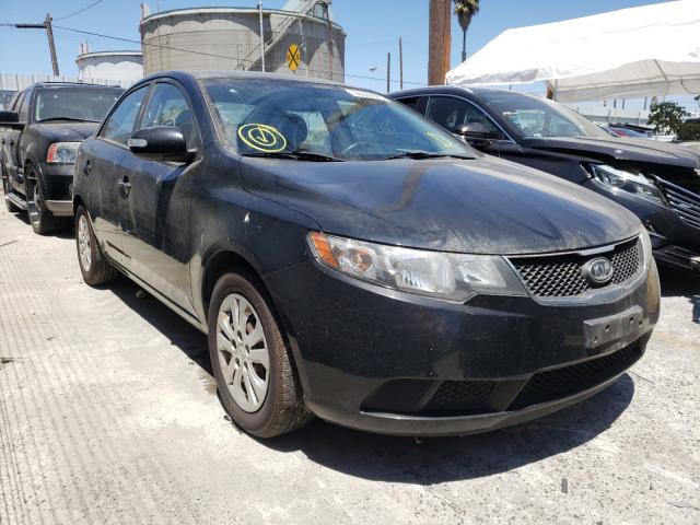 KIA FORTE EX 2010 knafu4a28a5298806