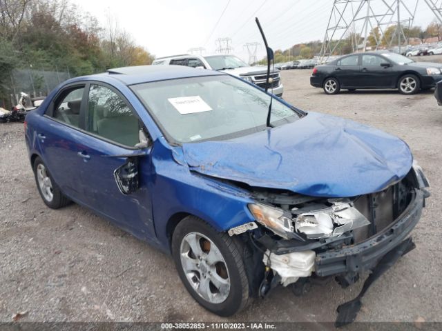 KIA FORTE 2010 knafu4a28a5299289