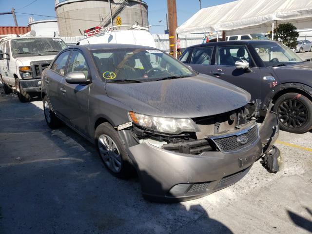 KIA FORTE EX 2010 knafu4a28a5299633