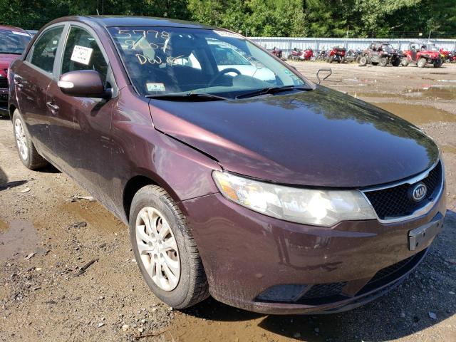 KIA FORTE EX 2010 knafu4a28a5301431