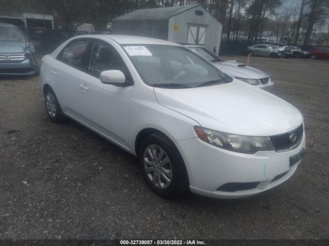 KIA FORTE 2010 knafu4a28a5306824