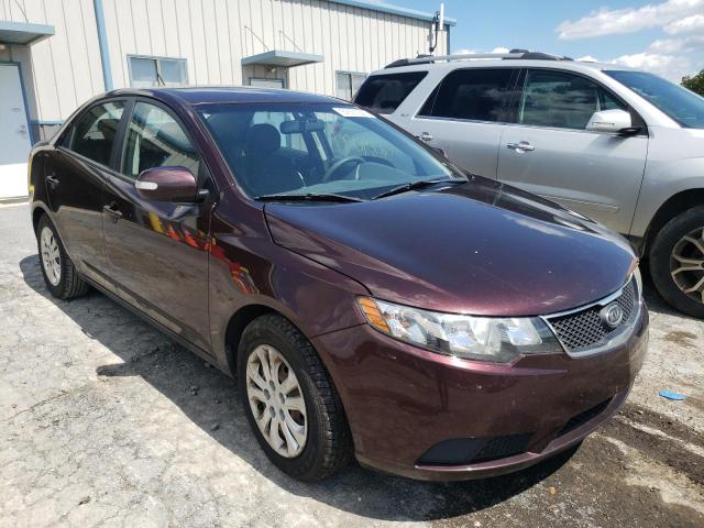 KIA FORTE EX 2010 knafu4a28a5310114